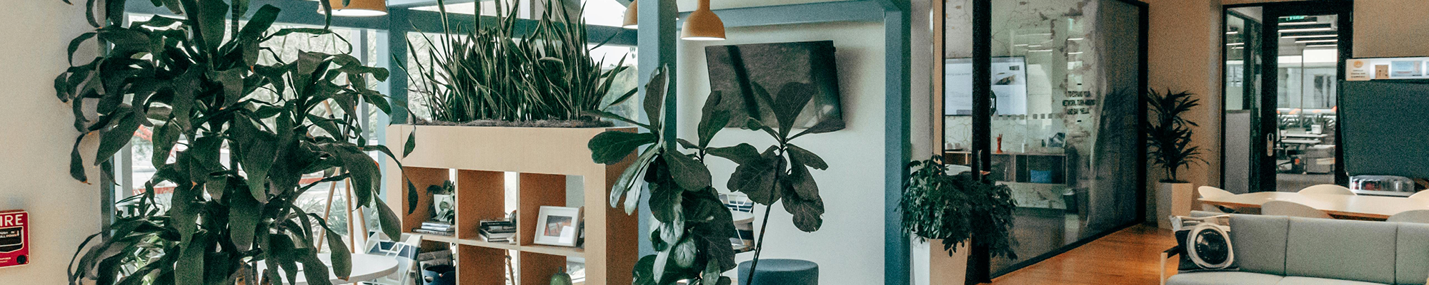 Engineered Hardwood in Nashville, TN