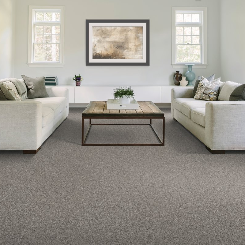 ALV Floors providing stain-resistant pet proof carpet in Smyrna, TN
