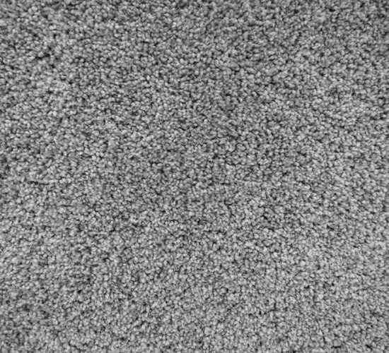 ALV Floors Carpet Flooring